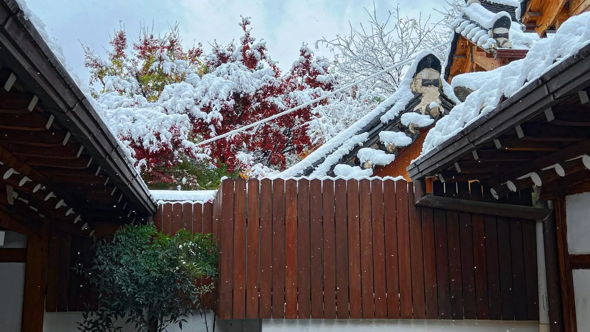 A Traditional Korean House With A Yard Seoul 0*,  South Korea
